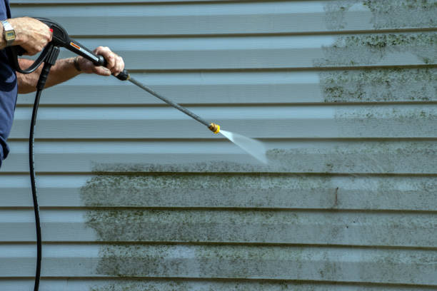 Best Roof Washing  in Palermo, NJ
